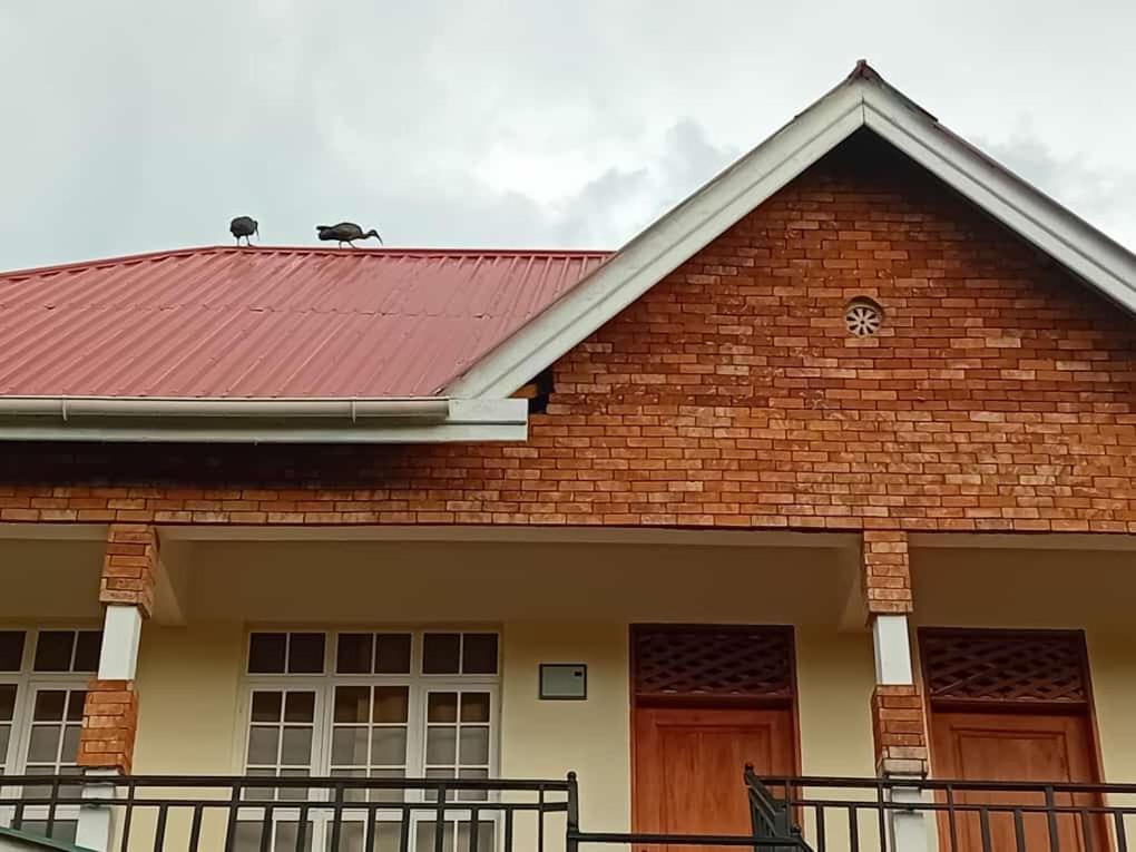 Seven Seven B&B Аруша Экстерьер фото
